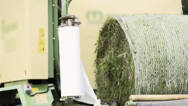 Packed stack of grass coming out harvester tractor on field — Stock Video