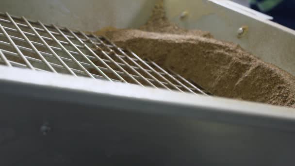 Πλιέ σιτηρών βάζει απαλά στο άλεσμα μηχάνημα πάνω από μεταλλικό πλέγμα στο αγρόκτημα — Αρχείο Βίντεο