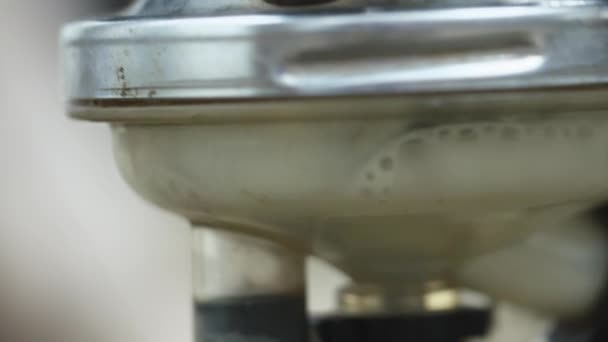 牛の搾乳機に poures を牛乳します。プロセスを搾乳します。マクロをクローズ アップ. — ストック動画