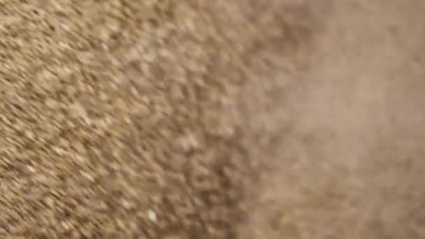 Processus d'usine agricole. Moulins à grains broyés dans la fraiseuse à travers treillis 