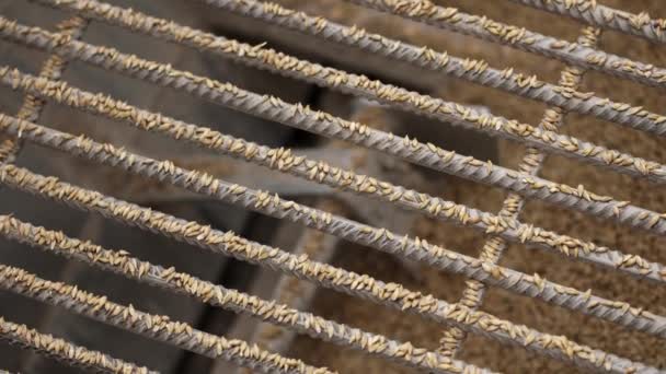 Processo de fábrica. Moinhos de grãos triturados na máquina de moagem através da treliça — Vídeo de Stock
