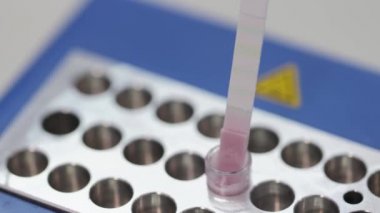 Kimyasal laboratuvar testleri. Laboratuar asistanı ph kağıt süt ph testiyle denetler..