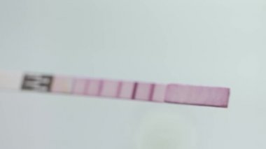 Çiftlik laboratuvar işlemi. pH kağıt süt testi.