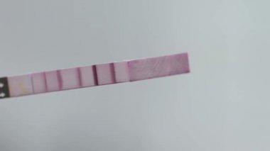 Çiftlik laboratuvar işlemi. Çiftlik fabrika ürünleri test. pH kağıt süt testi.