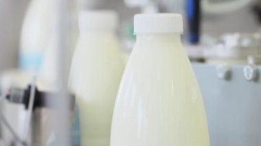 Makine süt üretim satırında. Ambalaj şişe. Şişe etiket süt tesisi