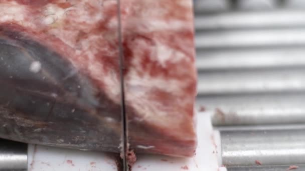 Attrezzature di fabbrica. Fabbrica di carne. Uomo operaio taglio carne cruda sulla macchina sega a nastro — Video Stock