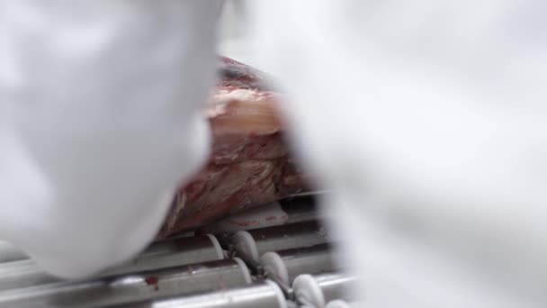 Κρεοπωλείο κοπή ωμό κόκκινο κρέας σε πριονοκορδέλλα μηχάνημα στο κρεοπωλείο. — Αρχείο Βίντεο