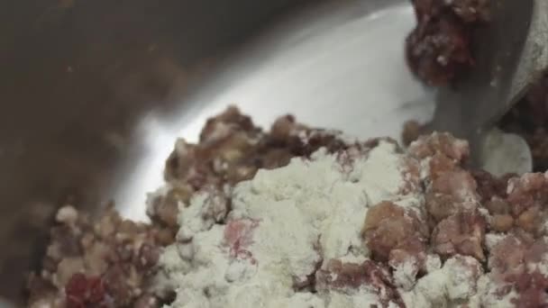 Húsfeldolgozó üzem. Nyers hús, és fűszerek hozzáadása a gombóc a pot — Stock videók
