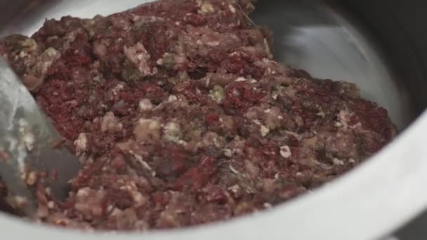 Keverés a nyers hús és a fűszerek, a tartály hozzáadása a pelmenit. Lassú mozgás — Stock videók