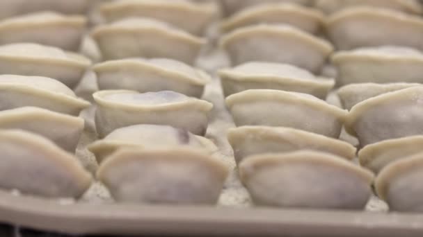 Fábrica de carne. Bolinho de massa de embalagem na assadeira para colocação na geladeira — Vídeo de Stock