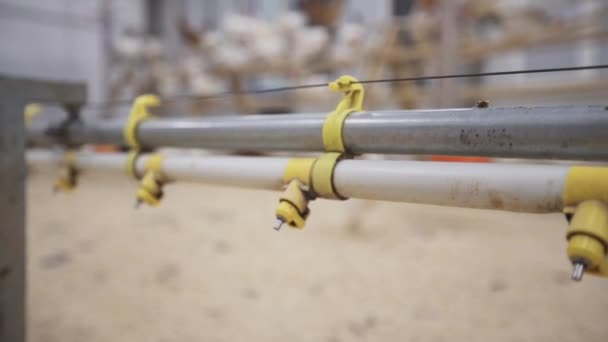 Long Steel Pole With Rust And Fasteners That Hold Thin Metal Rope Video By C Bazava Stock Footage 200385636