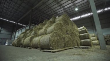 Çiftlikte ahırda palet üzerinde yer alan hayricks