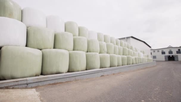 Bolsas con soporte de grano en el patio de la fábrica lado a lado — Vídeo de stock