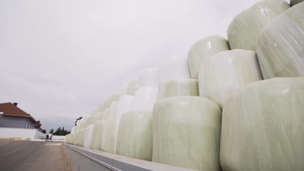 Väskor med spannmål står på öppen luft under himlen på gården av fabriken — Stockvideo