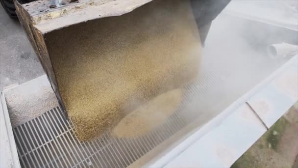 Trator não rápido derrama grãos na grelha da máquina de peneiramento — Vídeo de Stock