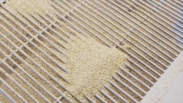 Pile de cribles de grain dans la machine de tamisage à travers la grille — Video