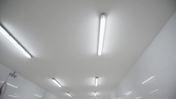 Ceiling of milk factory with lamps attached to it — Stock Video