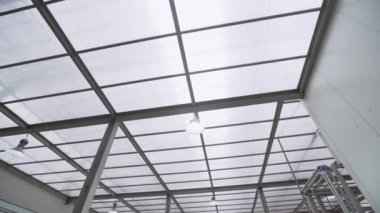 Siyah ve beyaz inek çiftliği tesisinde ayakta hattı