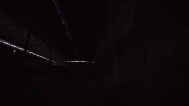 Att stänga av ljuset i förrådshuset med en massa höstackar — Stockvideo