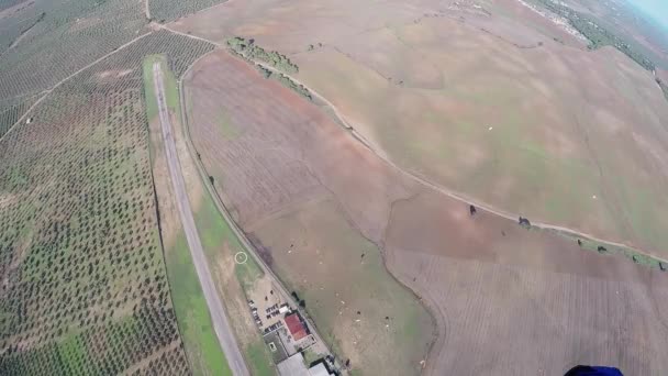 Paracadutista professionista che vola su paracadute in cielo. Paesaggio. Adrenalina. Natura . — Video Stock