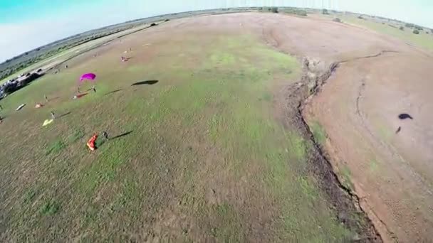 parachutiste professionnel atterrissant sur le terrain. Paysage. Adrénaline. Du sport. Journée ensoleillée 