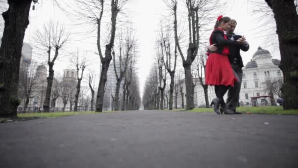 Hombre y mujer bailan maravillosamente tango en calle invernal rodeados de árboles desnudos — Vídeos de Stock