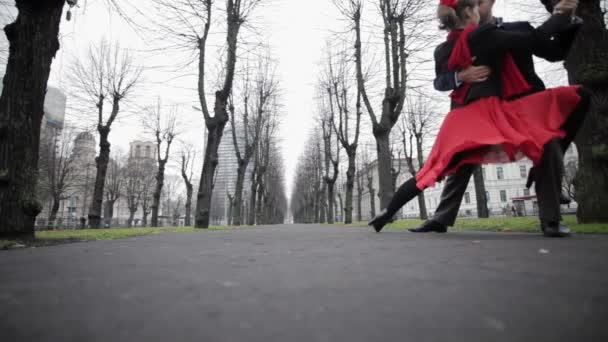 Mladý roztomilý pár provádí v prázdné ulici zimě uprostřed holých stromů — Stock video