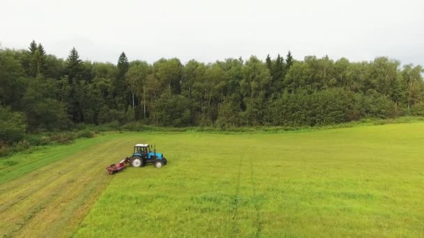 VIBORG, RUSIA - 11 DE JUNIO DE 2018: Vista superior del gran tractor azul que siega la superficie de hierba del campo amarillo y verde arge — Vídeo de stock