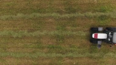 Üstten görünüm ile çalışan büyük gri traktörün dron kameradan ek kırmızı yuvarlak mowed saman yüzeyi büyük yeşil tarım alanının yan yatan tarak şeklinde ayrılmış.