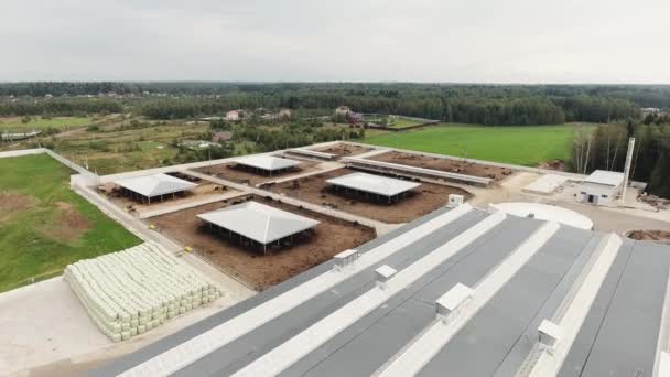 Top view on roofs of modern clean fenced farm with square paddocks for cows — Stock Video