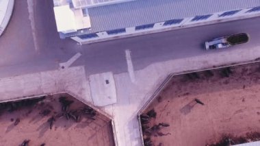 İnekler ve boğa gökyüzü görünümü gezme hayvan çiftliği alanında büyük çit corrals içinde