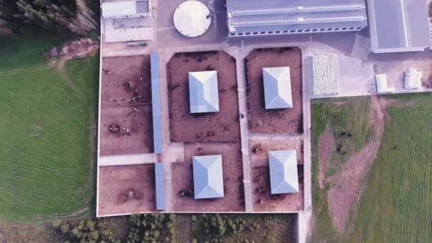 Vista céu de telhados de fazenda cercada moderna com grandes currais de animais quadrados — Vídeo de Stock