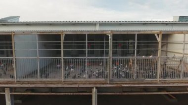 Sağ üstte corral koyun ve kuzu için büyük modern gri tavuk ev inşa