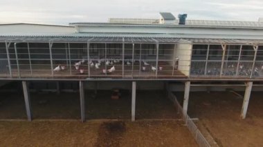 Kamera modern tavuk ev inşa corral koyun ve kuzu için yukarıda gösterir