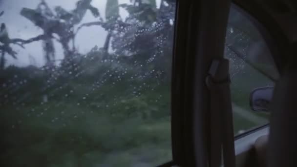 มุมมองจากหน้าต่างหลังรถของการขี่บนท่ามกลางต้นไม้เขตร้อนในวันที่ฝนตกลม . — วีดีโอสต็อก