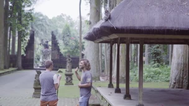 Två unga turister män står bredvid trä bersån ta foto av apa — Stockvideo