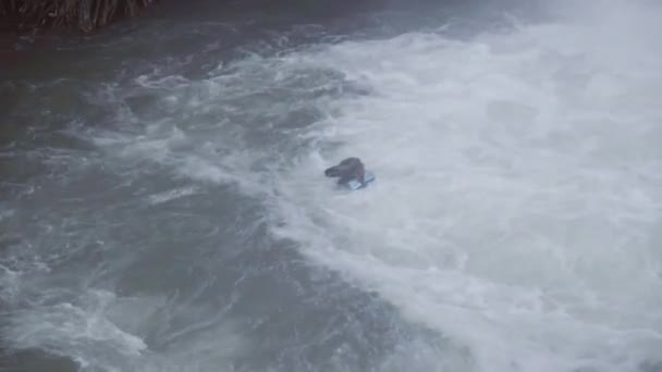 Active bearded guy with long hair is swimming in river right under waterfall — Stock Video