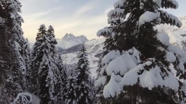 霜森、雪に覆われた丘、美しい山々 の素晴らしい冬の風景 — ストック動画