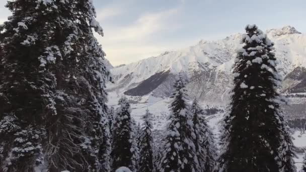 Heerlijke winterlandschap van vorst bossen, besneeuwde heuvels, prachtige bergen — Stockvideo