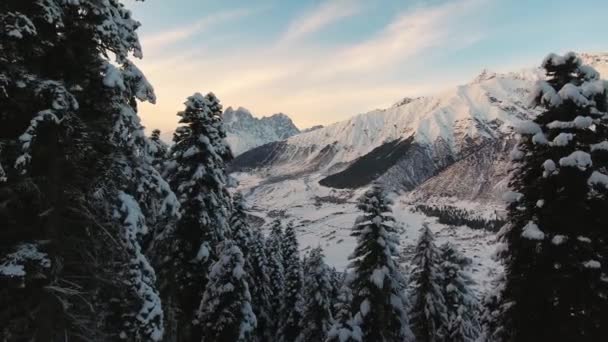 Adembenemende winterlandschap van sneeuw bedekte pijnbomen en prachtige bergen — Stockvideo