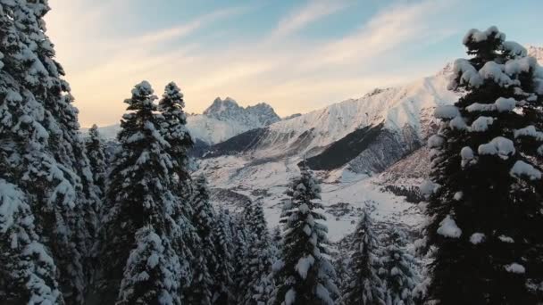 Wunderbare Winterlandschaft mit schneebedeckten Kiefern und wunderschönen Bergen — Stockvideo