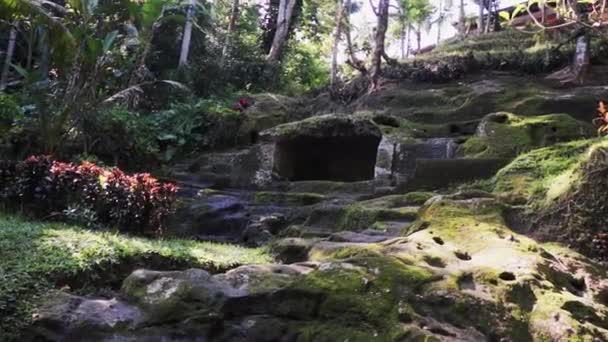 Utsikt över tropiska stenig mossbeklädda sluttning med små rektangulära nisch i det — Stockvideo