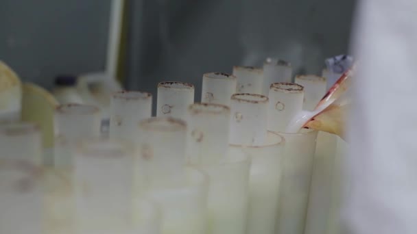 Tubos cilíndricos de plástico blanco están siendo llenados con líquido por el operador de laboratorio . — Vídeo de stock