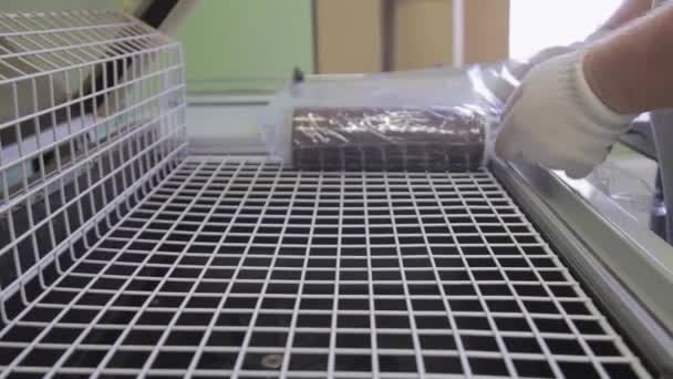 프로세스 열 축소 포장 실험실에 있는 실린더 모양의 개체의. — 비디오