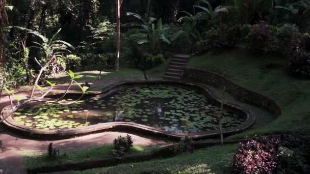 Jeune femme en bleu descend à mignon petit étang décoratif dans le parc tropical . — Video