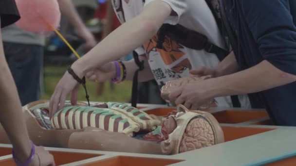 SAN PETERSBURG, RUSIA - 24 de junio de 2017: Amigos adolescentes montan modelo de intestino humano — Vídeo de stock