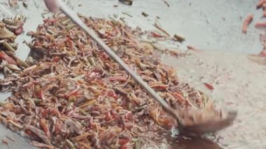 Colofrul sebze kesme ve haşlanmış et karıştırılır ve sıvı sos ihtiva eder