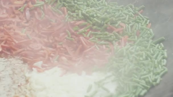 Mischung aus geschnittenem Gemüse und gekochtem Fleisch wird gerührt und in flüssiger Sauce gedünstet — Stockvideo
