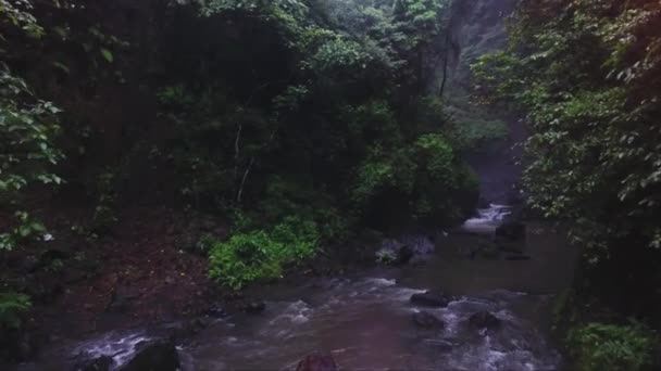 Vista del pequeño río que corre desde la colina rodeada de árboles y arbustos — Vídeos de Stock