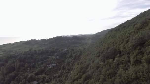 アブハズ語長い海岸線 小さな洞窟や大きな木 青空と夏の晴れた日に茂みに囲まれたかわいい渓谷と緑の丘の壮大な風景 — ストック動画